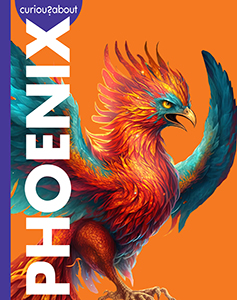 Cover Art for Curious about Phoenix