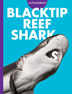 Cover Art for Curious about Blacktip Reef Sharks