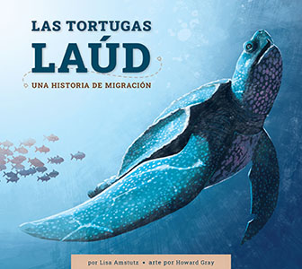 Cover Art for Las tortugas laúd: Una historia de migración