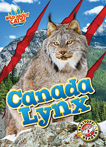 Cover Art for Canada Lynx