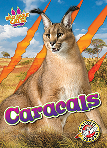 Cover Art for Caracals
