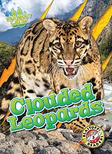 Cover Art for Clouded Leopards