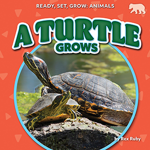 Cover Art for A Turtle Grows