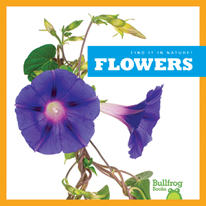 Cover Art for Flowers