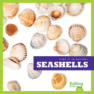 Cover Art for Seashells