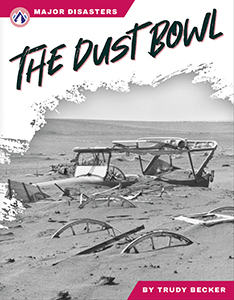 Cover Art for The Dt Bowl