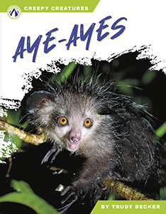 Cover Art for Aye-Ayes