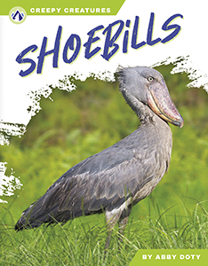 Cover Art for Shoebills