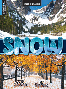 Cover Art for Snow