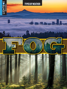Cover Art for Fog