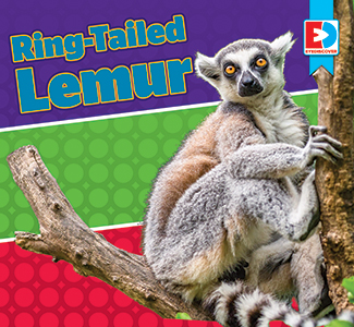 Cover Art for Ring-Tailed Lemur